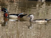 Mississippi National River & Recreation Area