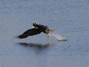 Minnesota Valley National Wildlife Refuge