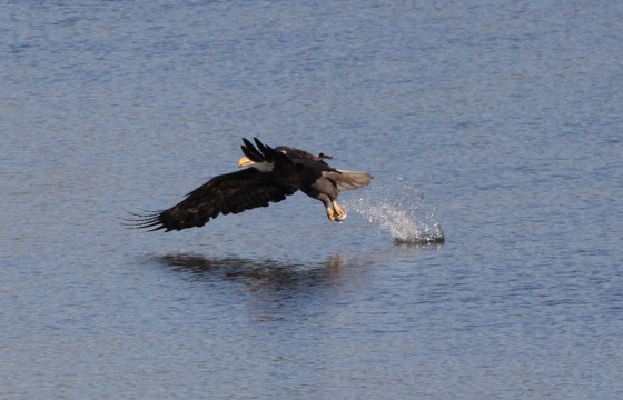 Minnesota Valley National Wildlife Refuge
