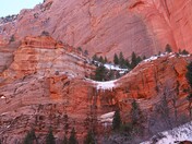 Zion National Park