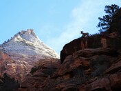 Zion National Park
