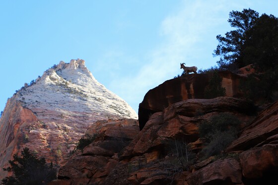 Zion National Park