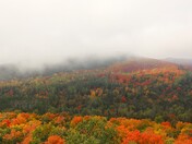 Superior National Forest