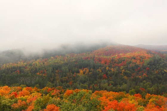 Superior National Forest