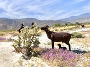 Anza-Borrego Desert State Park