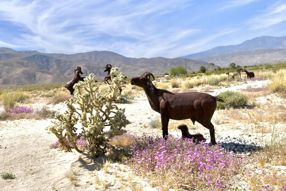 Anza-Borrego Desert State Park
