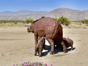 Anza-Borrego Desert State Park