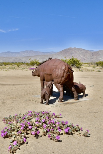 Anza-Borrego Desert State Park