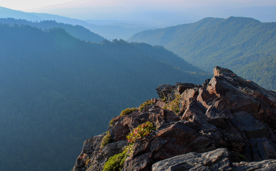 Great Smoky Mountains National Park