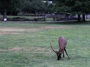 Great Smoky Mountains National Park