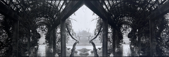 US National Arboretum