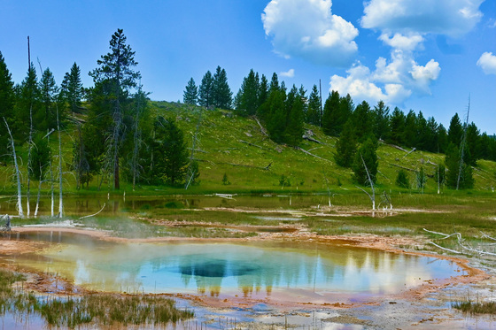 Yellowstone National Park