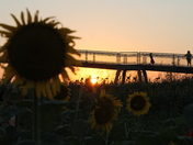 Columbia Bottom Conservation Area