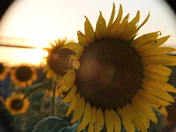 Columbia Bottom Conservation Area