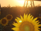 Columbia Bottom Conservation Area