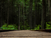 Olympic National Park