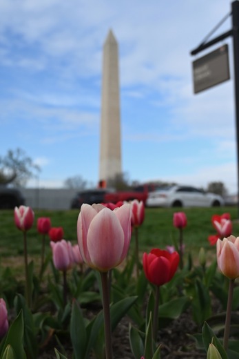 Floral Library on the National Mall