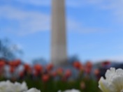 Floral Library on the National Mall