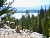 Grand Teton National Park