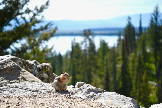 Grand Teton National Park