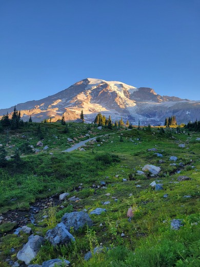 Mount Rainier National Park