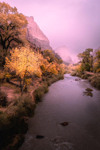 Zion National Park