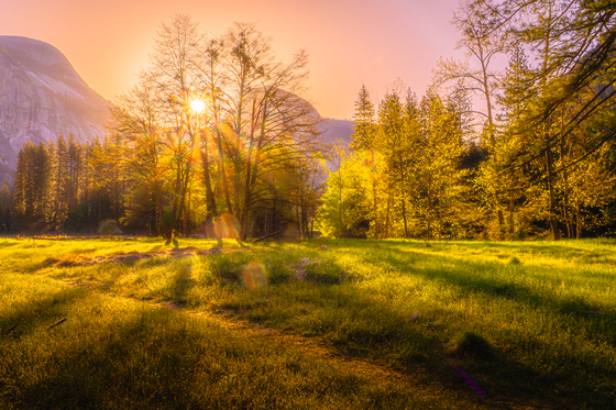 Yosemite National Park