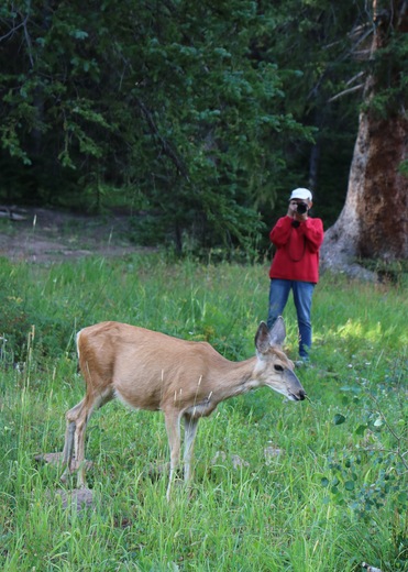 Lost Lake Campground, 
