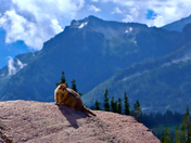 Mt. Rainier National Park