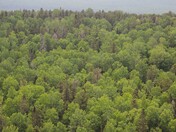 Superior National Forest - Boundary Waters Canoe Area Wilderness