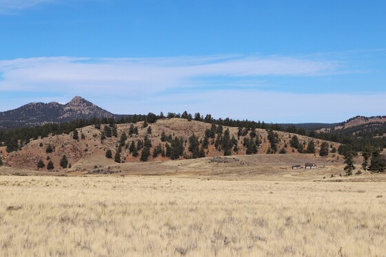 Florissant Fossil Beds National Monument