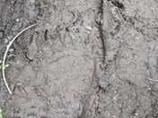 Glacier National Park