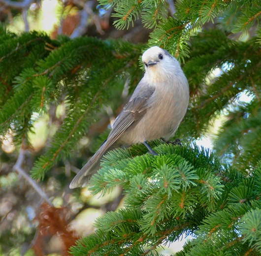 Brainard Lake Recreation Area 