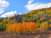 Roosevelt National Forest
