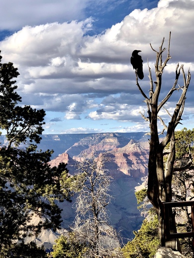 Grand Canyon 