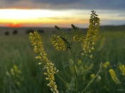 Badlands National Park