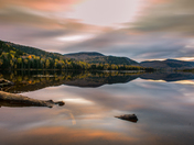 In the morning light 