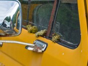 Looking Back In Time