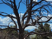 Black Canyon of The Gunnison National Park