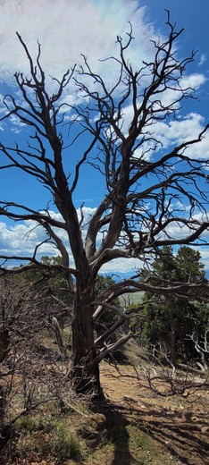 Black Canyon of The Gunnison National Park