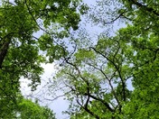 Mammoth Cave National Park