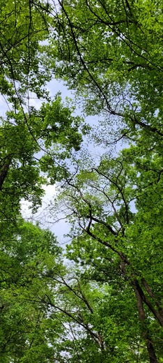 Mammoth Cave National Park