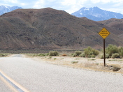 Inyo National Forest