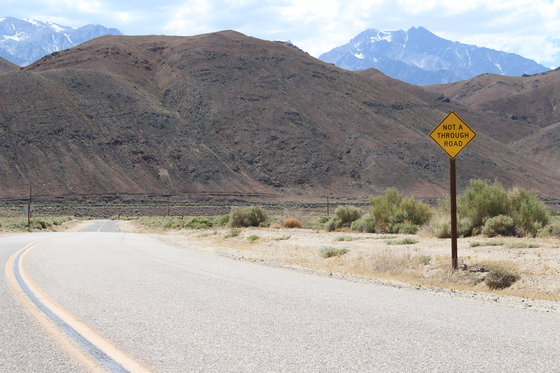Inyo National Forest