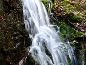 Shenandoah national Park 