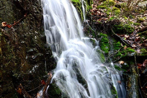 Shenandoah national Park 
