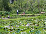 Kenilworth Park & Aquatic Gardens