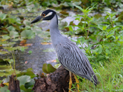 Kenilworth Park & Aquatic Gardens