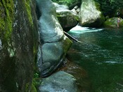 Smoky Mountain National Park