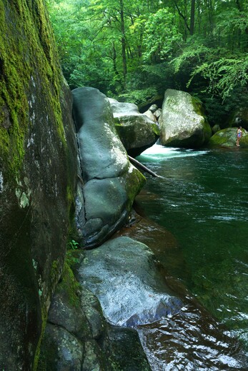 Smoky Mountain National Park